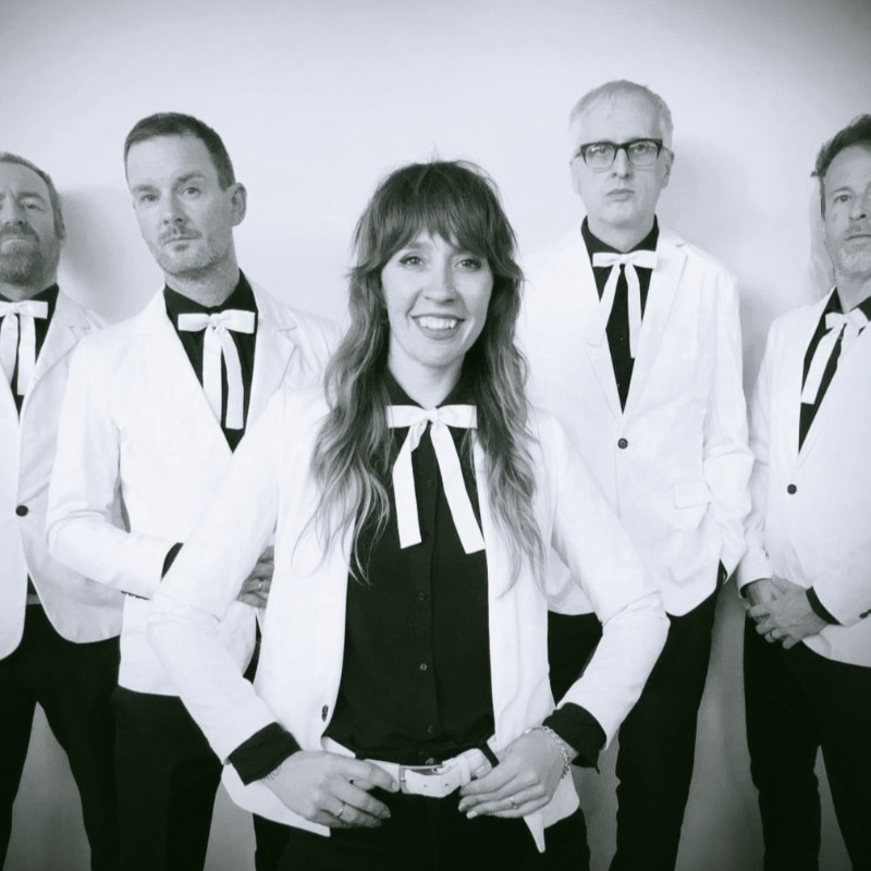 The B-Hives